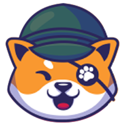 coin icon