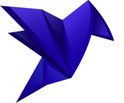 coin icon