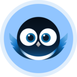 coin icon