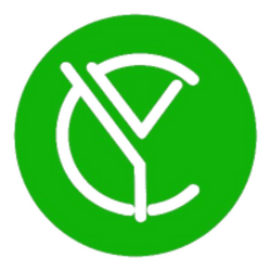 coin icon