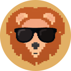 coin icon