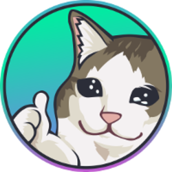 coin icon