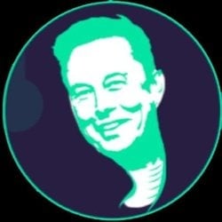 coin icon
