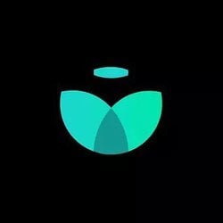 coin logo