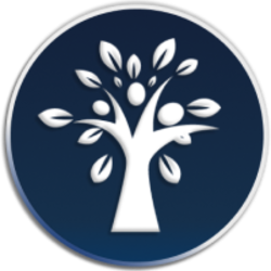 coin icon
