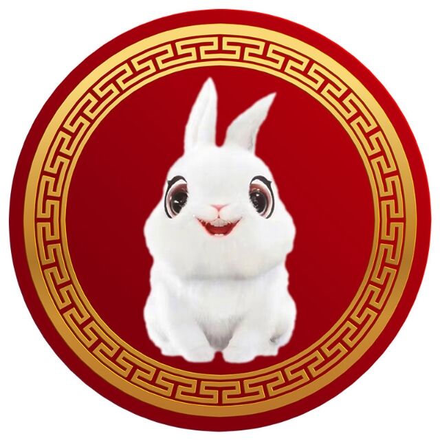 coin icon