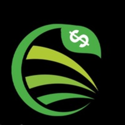 coin icon
