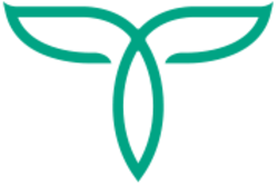 coin icon