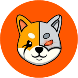coin icon