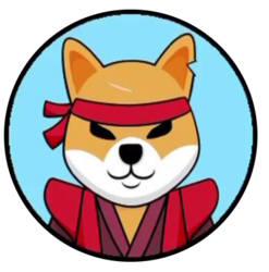 coin logo