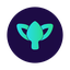 coin icon
