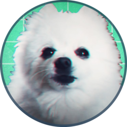 coin icon