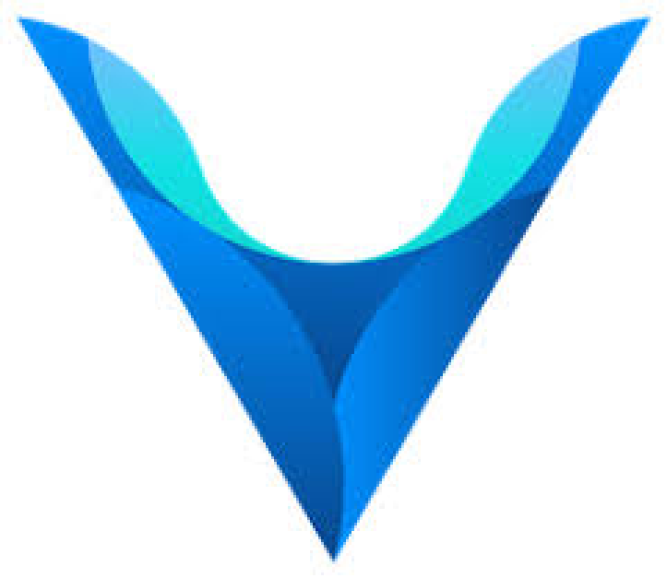 coin icon