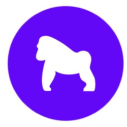 coin icon