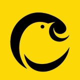 coin logo