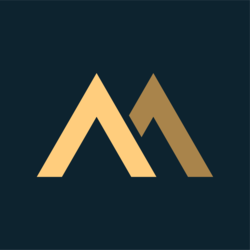 coin icon
