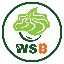coin icon