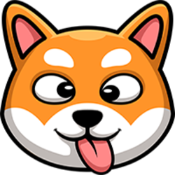 coin icon