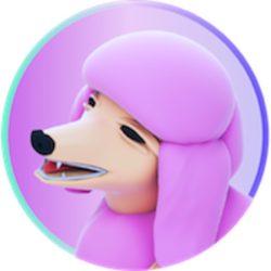 coin icon