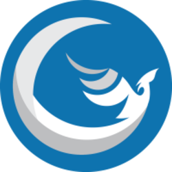 coin icon