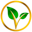 coin icon