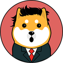 coin icon