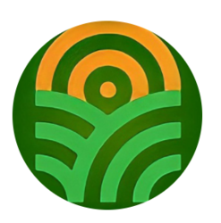 coin icon