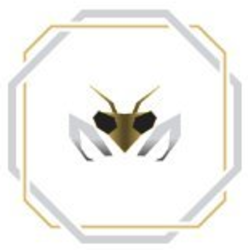 coin icon