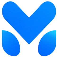coin icon