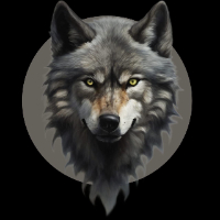 coin icon
