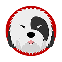 coin icon