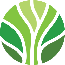 coin logo