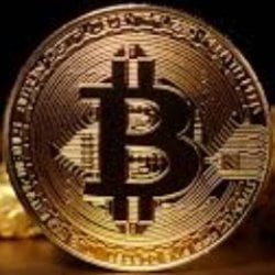 coin icon