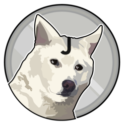 coin icon