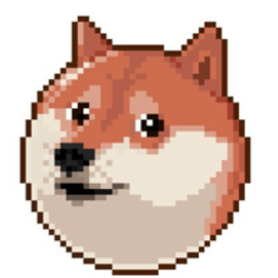 coin icon