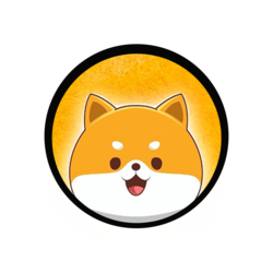 coin icon