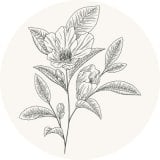 coin icon