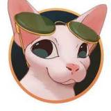 coin icon