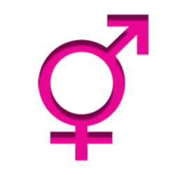coin icon