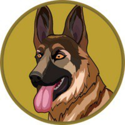 coin icon