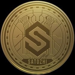 coin icon