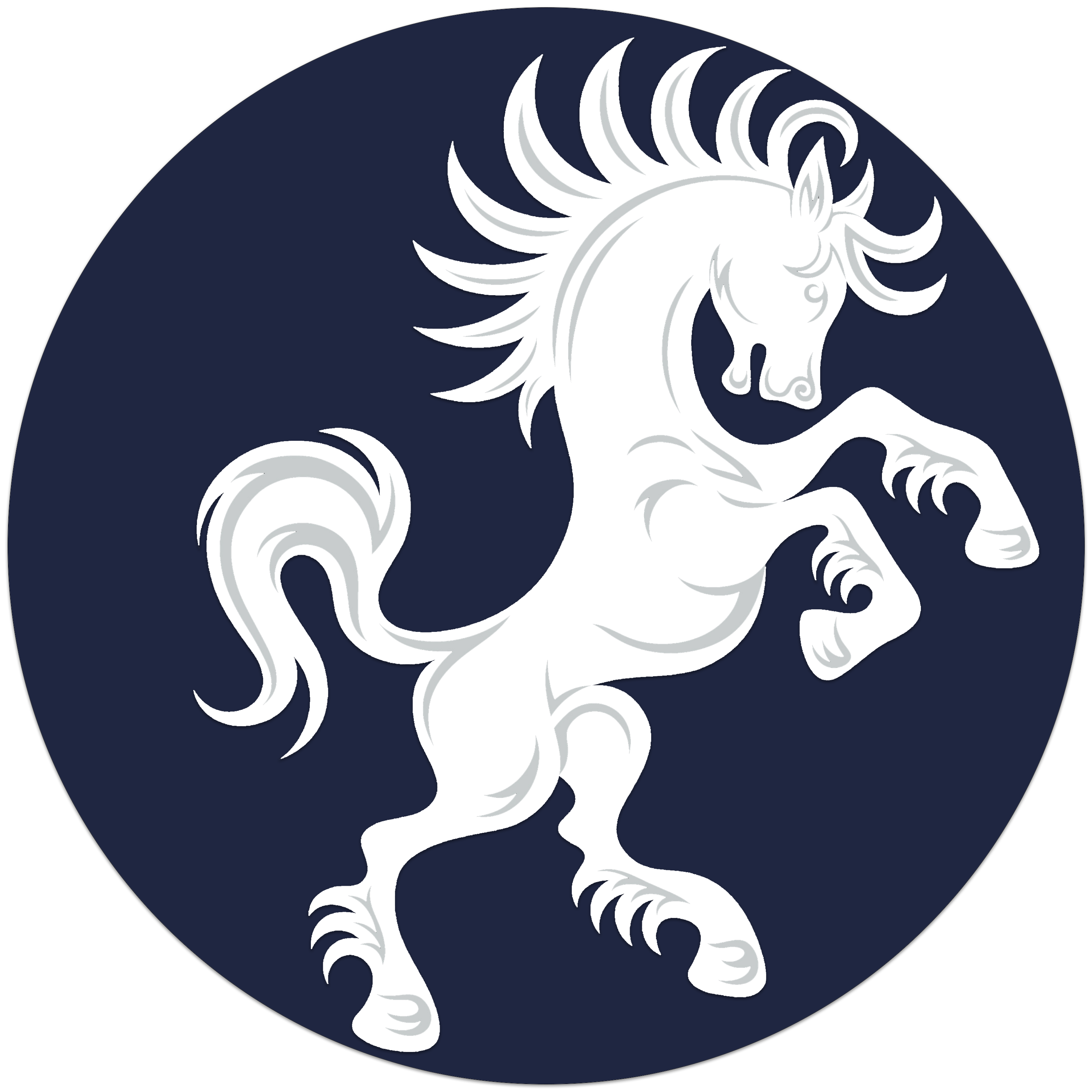 coin icon