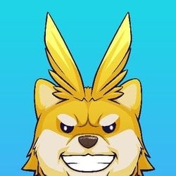 coin icon