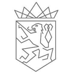 coin icon