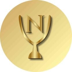 coin icon
