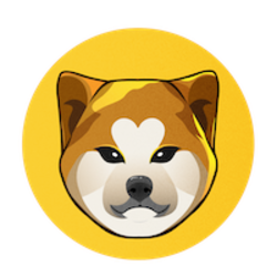 coin icon