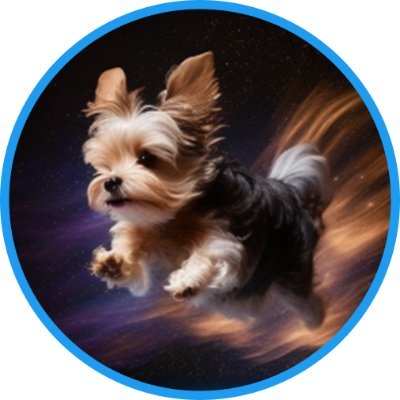 coin icon