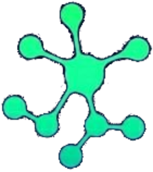 coin icon