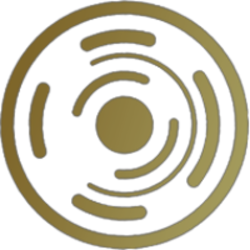 coin icon