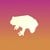 coin icon